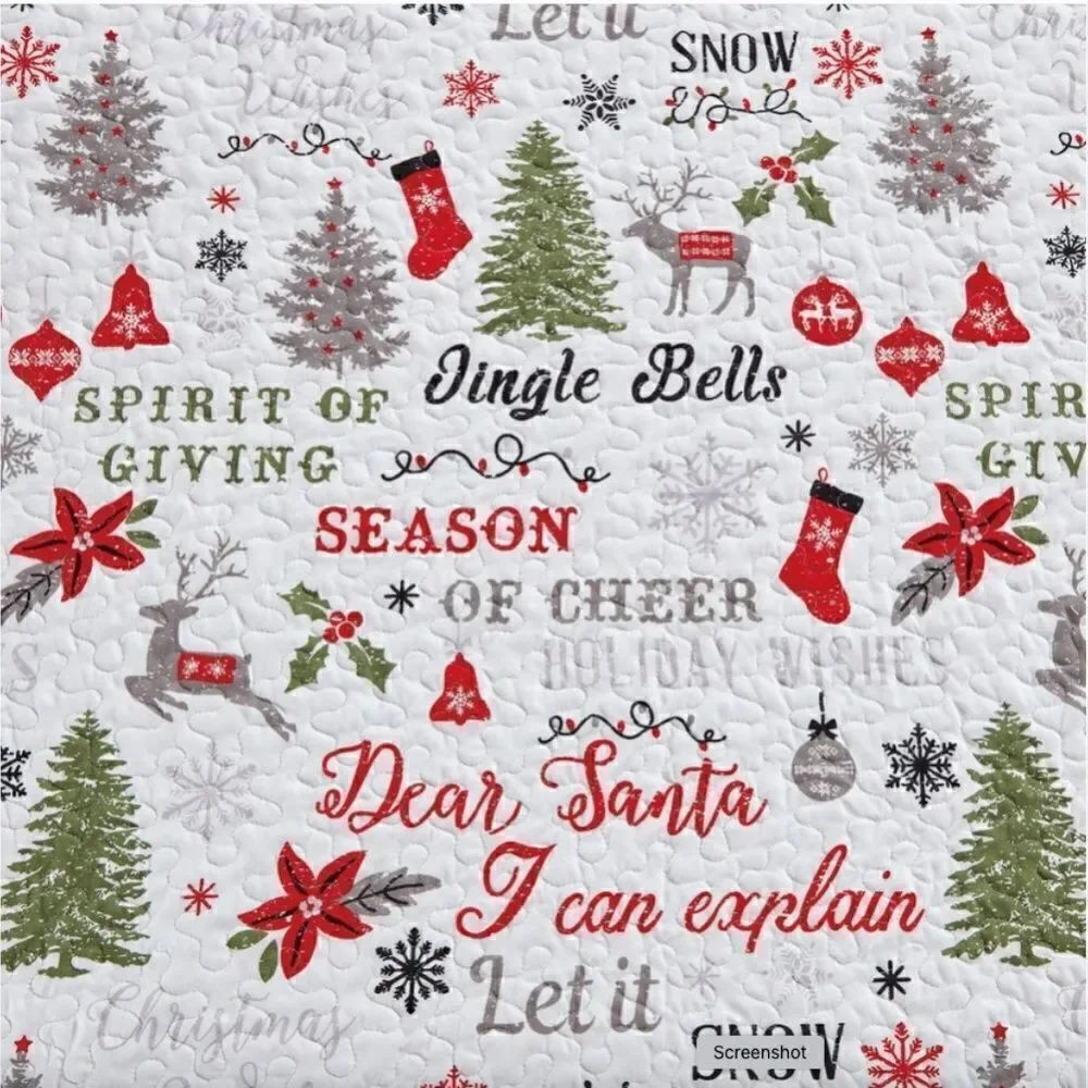 Farmhouse Christmas Carol Printed Quilted Bed Set Holiday Cheer Tis the Season